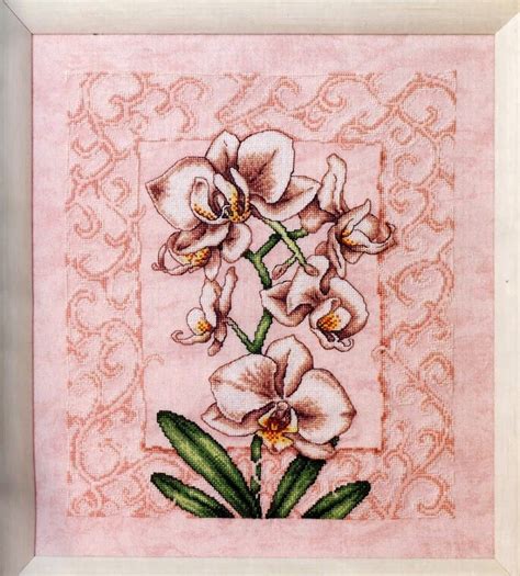 Орхидея схема вышивки крестом | Cross stitch flowers, Cross stitch ...