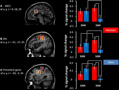 Frontiers Sex Differences In The Neural Correlates Of Specific And