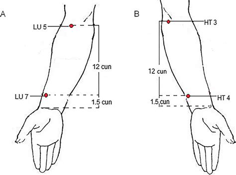 Locations Of Acupoints A Locations Of Acupoints Group A Lieque LU