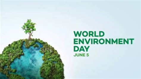 World Environment Day 2023 Know History Theme And Significance World Environment Day 2023