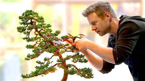 Learning The Ancient Art Of Bonsai In Day Youtube