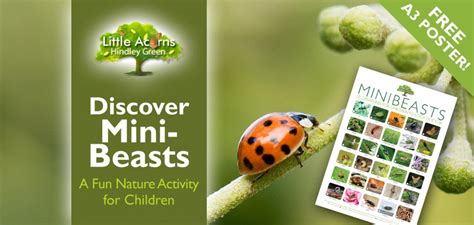 Discover Minibeasts A Fun Nature Based Activity For Children