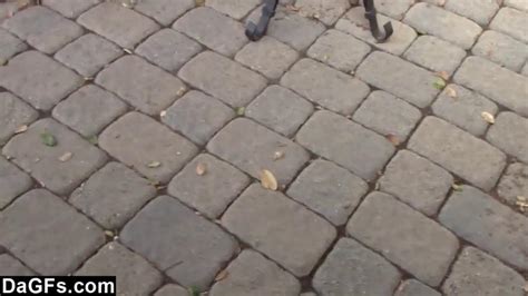 Celebrating The New House With A Sextape Porn Videos