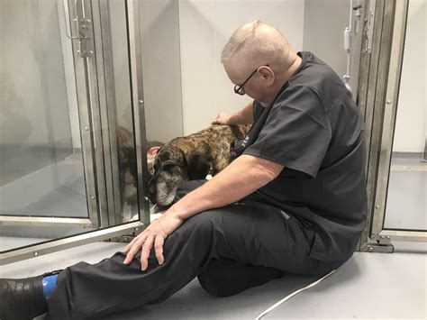 Dr. Cranford and all of our... - Seaside Veterinary Hospital | Facebook