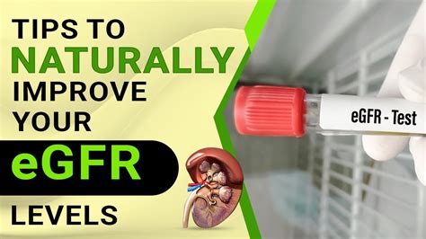 Tips To Naturally Improve Your Egfr Levels Youtube