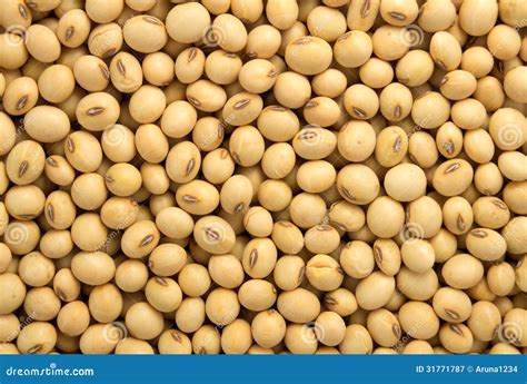Macro of Dry Organic Soya Beans Stock Image - Image of lentils, soybean ...