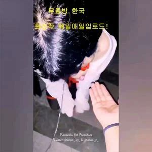 Watch 야노 꼬리 순종 노예 움찔움찔 온팬 국산 야노 한국 Porn SpankBang