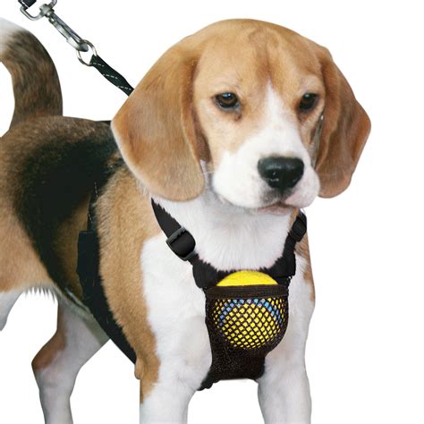 Can A Harness Stop A Dog Pulling