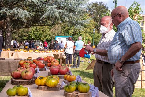 Éxito rotundo del II Festival del Tomate de Cantabria celebrado este