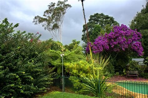 Thoughts on Arsenal 2 Pro with two test cameras (Fuji X-T4 and Canon ...