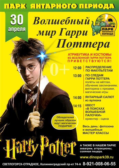 Волшебный мир Гарри Поттера | Парк Янтарного Периода