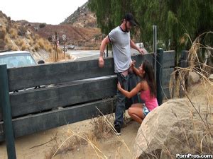 Porn Public Scenic Reststop BJ XXX Dessert