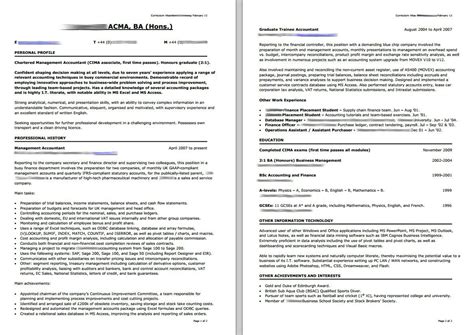 Examples Of Personal Statements For Resumes Cover Letter