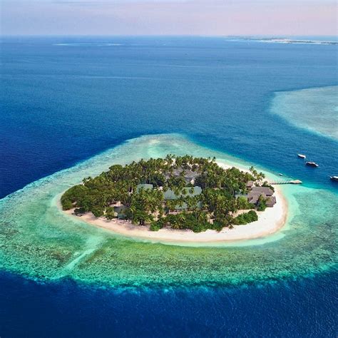 maldive rccl