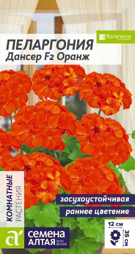 Пеларгония