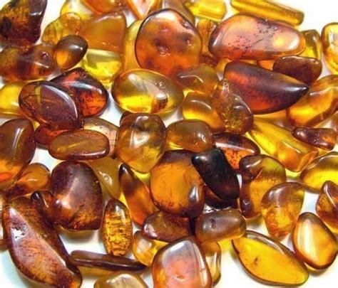 Amber Gemstone Facts Weird Interesting Facts