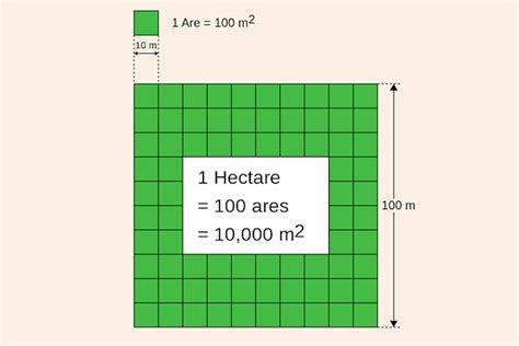 Quanto è un ettaro Matemania it