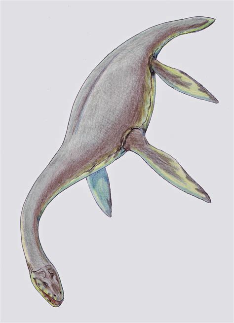 Mysterious Zoology - Hidden Animals Around The World: Plesiosaurs