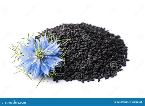 Black Cumin Seeds with Nigella Sativa Flower Stock Image - Image of ...