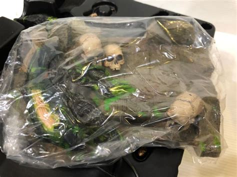 HOT TOYS MMS250 ALIEN VS PREDATOR ANCIENT PREDATOR 1 6TH SCALE COLLECTIBLE FIGURE Hobbies