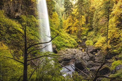 «Silver Falls Waterfall Surrounded By Brightly Colored Leaves Dur» del colaborador de Stocksy ...