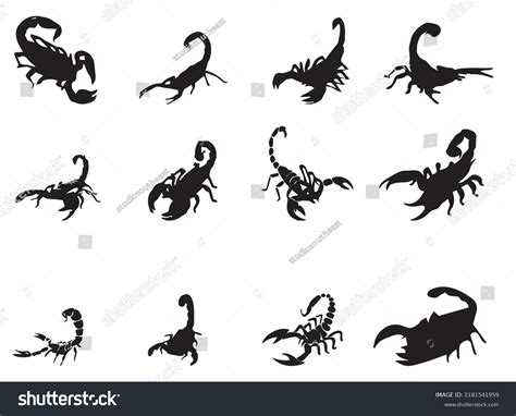 Scorpion Vector Image Scorpion Image Simple Royalty Free Stock