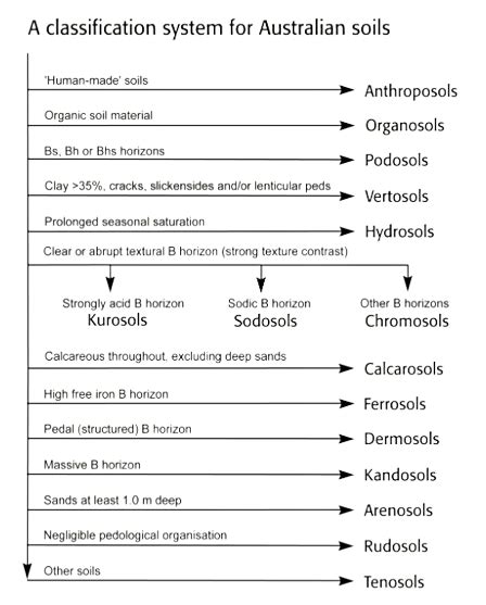 Soil Groups Explained Soil Quality Knowledge Base