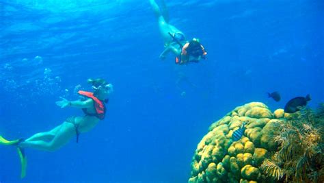 What to do in Cozumel, Mexico | Experience Caribbean