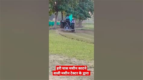 हरी घास मशीन काटने वाली मशीन टेक्टर के द्वारा Green Grass Cutting