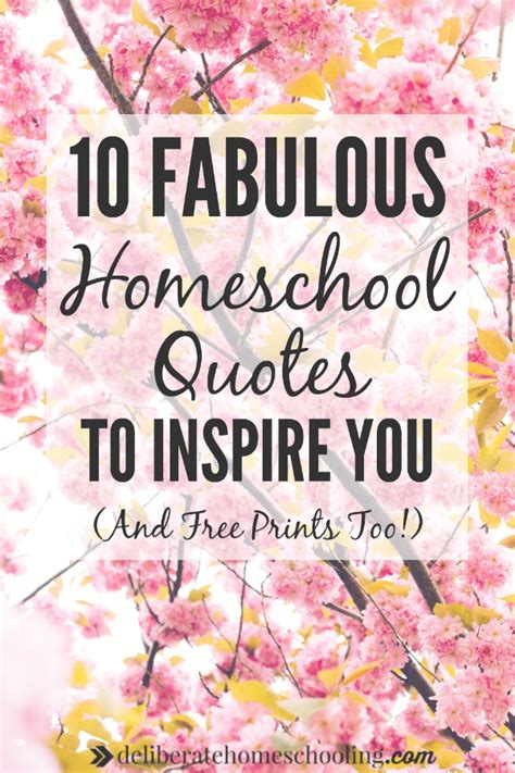 Homeschool quotes 50 funny and encouraging quotes about homeschool ...