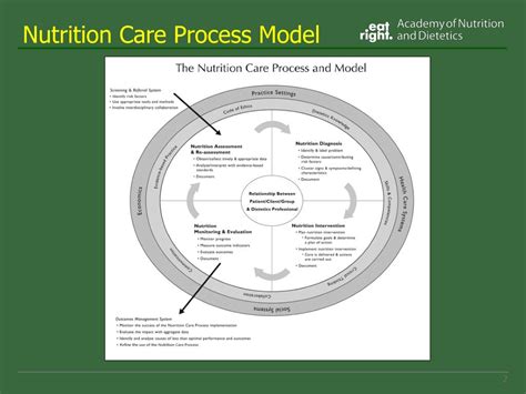 Ppt Nutrition Care Process Terminology Powerpoint Presentation Free