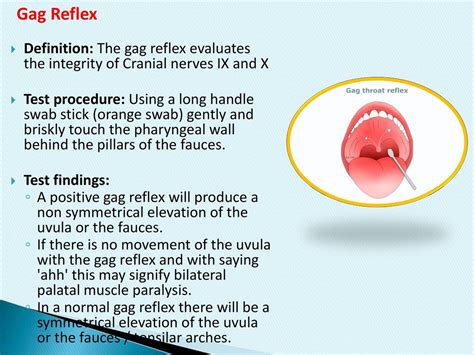 Gag Reflex Test