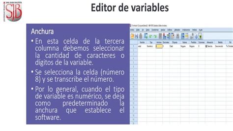 Formato De Sotware De Como Usar El SPSS Y SUS PARTES QUE TIENE ESTE