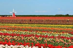 Những cảnh đẹp thiên nhiên thơ mộng và lãng mạn nhất thế giới Thư viện Ảnh đẹp hot nhất 2016