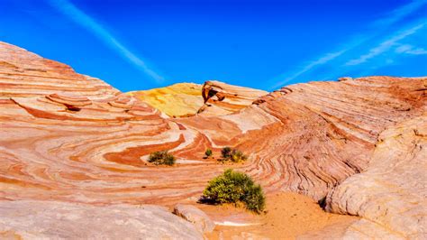 Best Hikes in Beautiful Valley of Fire State Park - Pine Coast Hiking