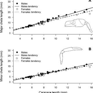 PDF Sexual Dimorphism Of The Major Chela And Sex Ratio As Indicators Of The Mating System In