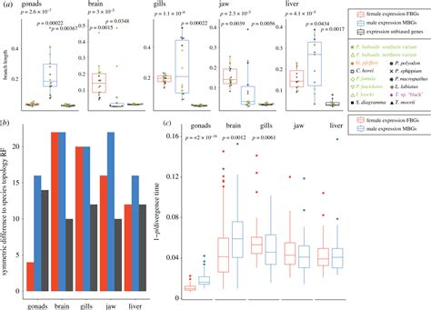 Sex Biased Gene Expression And Recent Sex Chromosome Turnover Philosophical Transactions Of