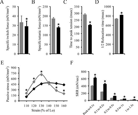 Evaluation Muscle Function Extensor Digitorum Longus Muscle Ex Vivo