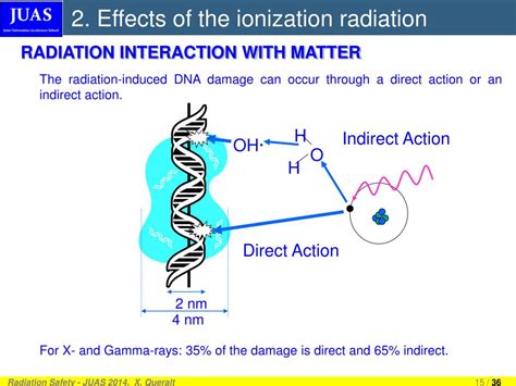 PPT - Definitions Effects of the ionization radiation Natural background Medical application ...