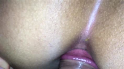 Anal Porno Videos XHamster