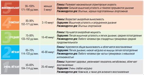 Предворкаут. Финал. Пульс и не только