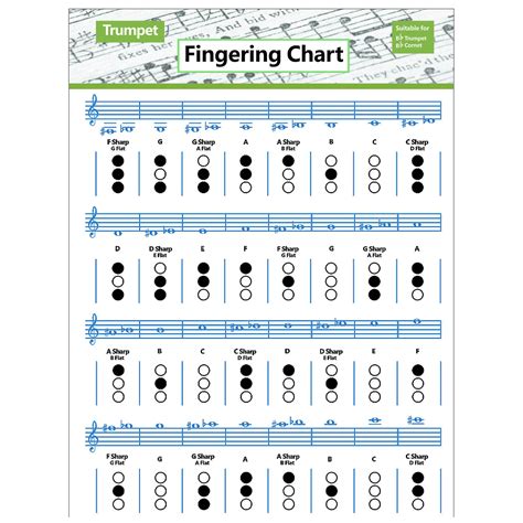 Trumpet Practice Chart Chord Trumpet Fingering Chart Trumpet Fingering Chart Music Chords Poster ...