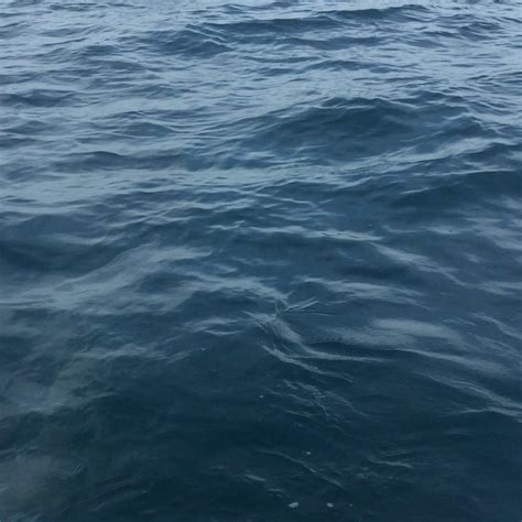 Great White Charters - Home | Facebook