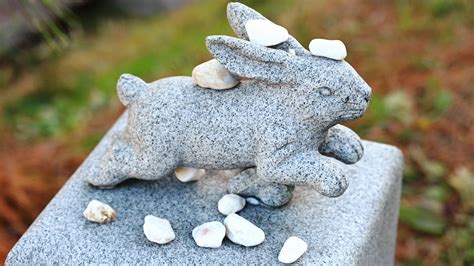 「因幡の白うさぎ」伝説の地・鳥取の白兎神社に行ってきた ライブドアニュース