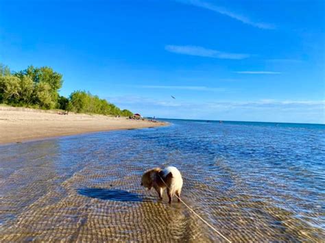 Southwick Beach State Park Henderson Ny Adventures In New York