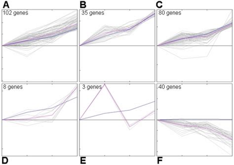 af  patterns  expression kinetics  shown