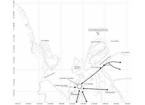 Rutas M S Importantes De Vuelo Del Loro Guaro Amazona Amazonica En