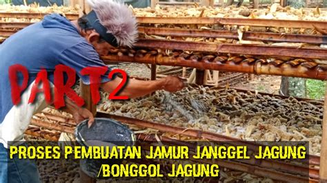 BEGINI CARA BIKIN JAMUR JANGGEL JAGUNG SIMAK TUTORIAL LENGKAP NYA