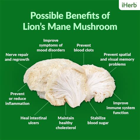 Lion’s Mane—Here Are 11 Researched Benefits of "the Brain Mushroom ...