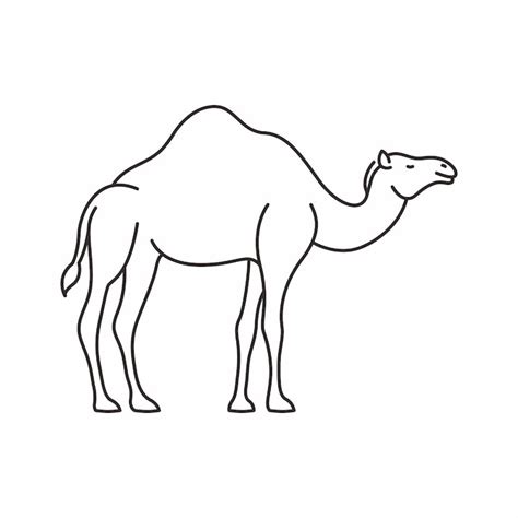 premium vector  art animals vector collection